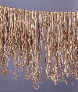 Quipu closeup