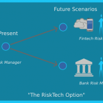 Risk Management Skills for the Fintech Era
