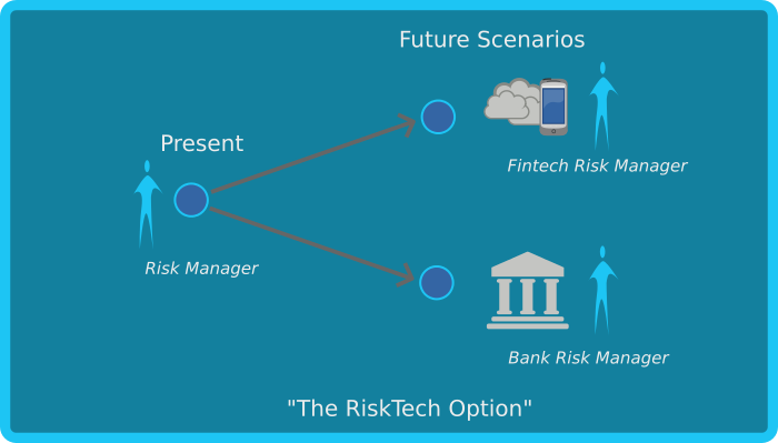 Risk Management Skills for the Fintech Era