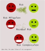 Risk Compensation: From Face Masks to Credit, Market and Systemic Risk