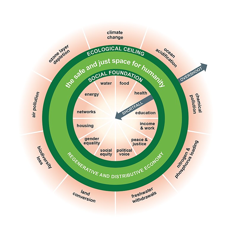 The Doughnut Economy