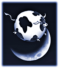 A Spherical Cow