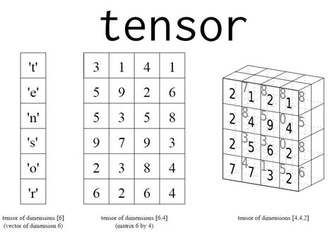 Tensor